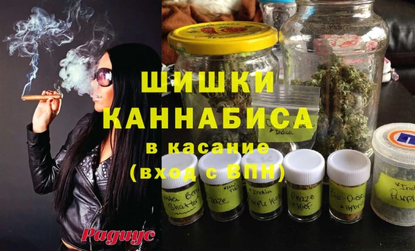 спиды Верея