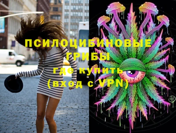 спиды Верея
