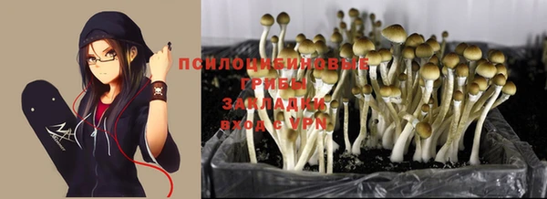круглые Верхний Тагил